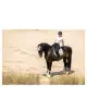 BR Shirt Elody met korte mouwen